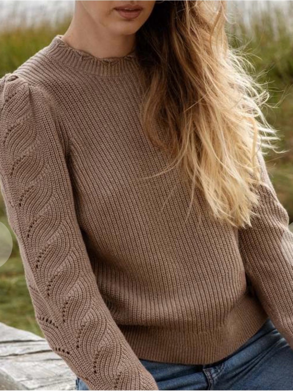 Classic Crewneck Cable-Panel Sweater in Taupe